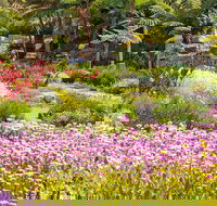 Jurassic Garden AR Experience - Stayed