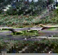 Kayaking Upper Tuross River and Bumbo Lake - Stayed
