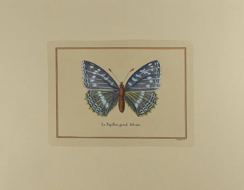 Kiama Art Gallery - Stayed 2