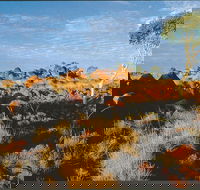 Kunjarra/The Pebbles - Stayed