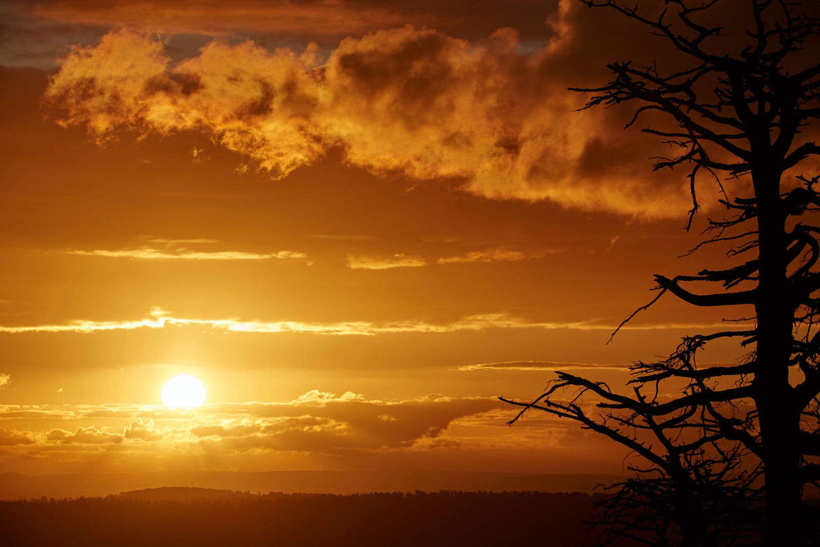 Kinglake Central VIC Stayed