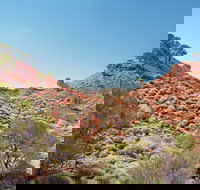 Lark Quarry Conservation Park - Stayed