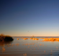 Malkumba-Coongie Lakes National Park - Stayed