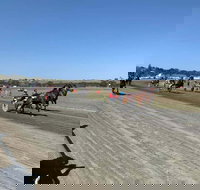 Marburg Pacing Association - Stayed