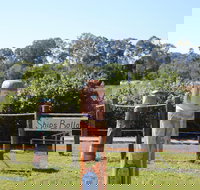 Maryboroughs Bollards - Stayed