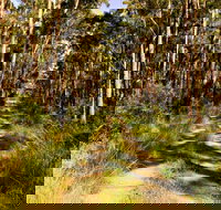 Mining Road Fire Trail Old Gibber Road Rire Trail - Stayed