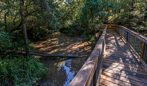 Ms Kellys Walking Track - Stayed 0