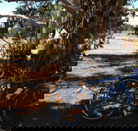 Murchison Rail Trail - Stayed