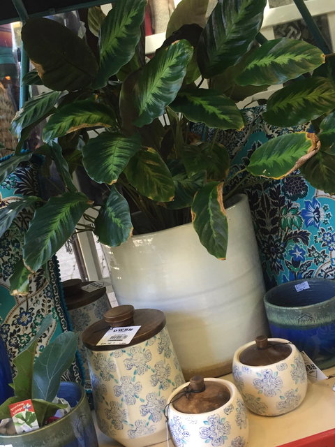 Noreen's Seaside Shop - Stayed 0