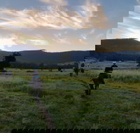 Numinbah Valley Adventure  Camping - Stays Accommodation