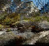 Pallaibo walking track - Stayed