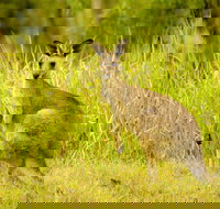 Perseverance - Stayed