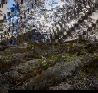 Pheasants Peak Walking Track - Stayed