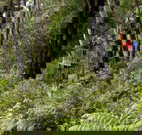 Pipers lookout - Stayed