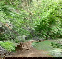 Pirianda Gardens - Stayed