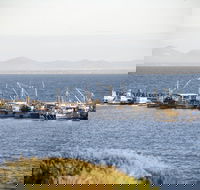 Portarlington - Stayed