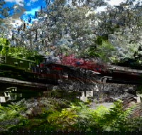 Puffing Billy Railway - Stayed