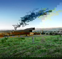 Ravensbourne National Park - Stayed