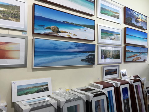 Richard Smyth Wild Earth Images - Stayed 0