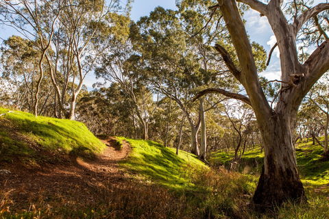 Shepherds Hill Recreation Park - Stayed 1