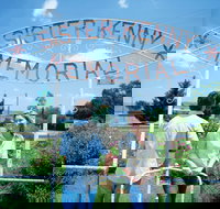 Sister Kenny Memorial Nobby - Stayed