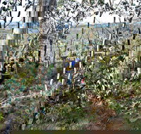 Summits Walking Track - Stayed