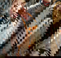 Talisman Gallery - Stayed