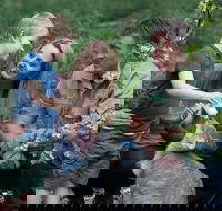 Tamworth Marsupial Park and Adventure Playground - Stayed