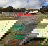 The Wallaby Track - Stayed