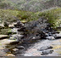 Thredbo River Track - Stayed