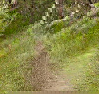 Three Views walking track - Stayed