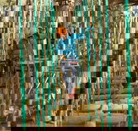 Trees Adventure Yeodene Park - Stays Accommodation