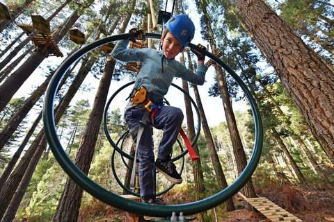 Trees Adventure Yeodene Park - Stayed 1