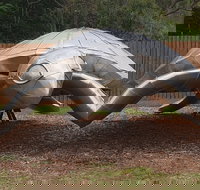 Underwater Marine Sculptures - Stayed