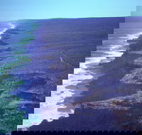 Useless Loop - Stayed