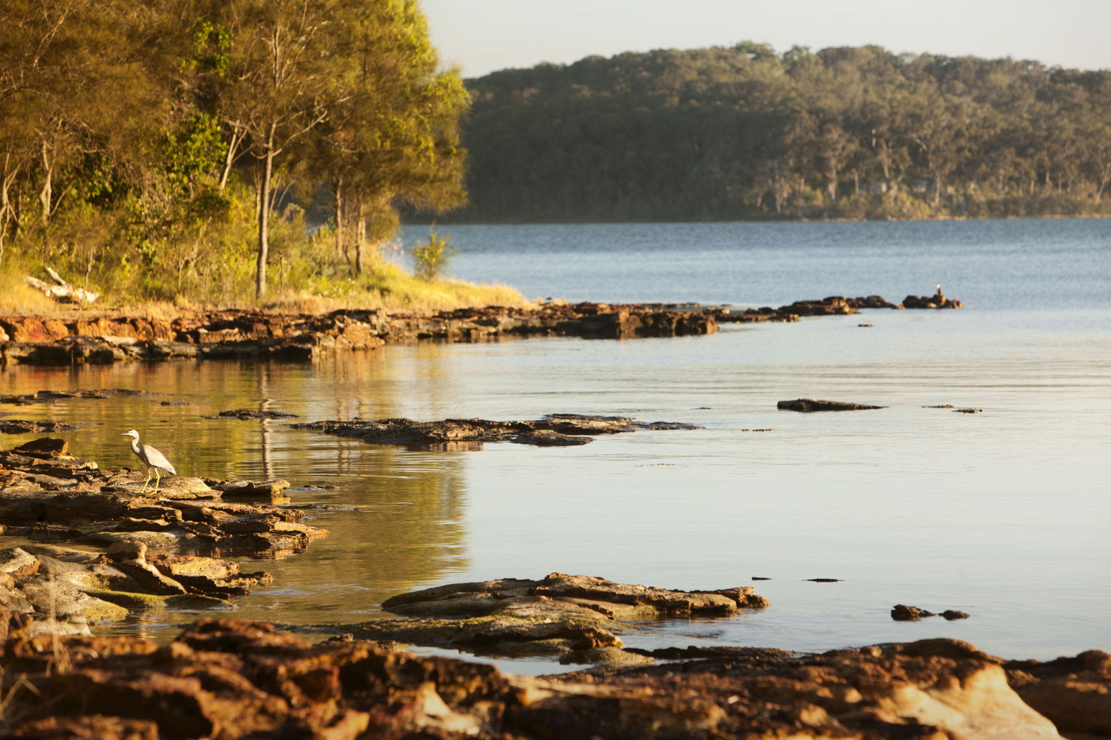 Wangi Wangi NSW Stayed
