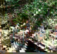 Watagans National Park - Stayed