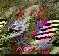 White Cottage - Stayed