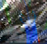 Wildlife Habitat - Stays Accommodation