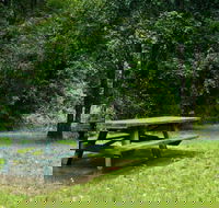 Williams River picnic area - Stayed