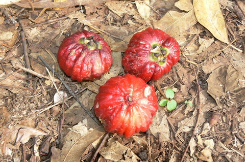 Window On The Wetlands - Stayed 1
