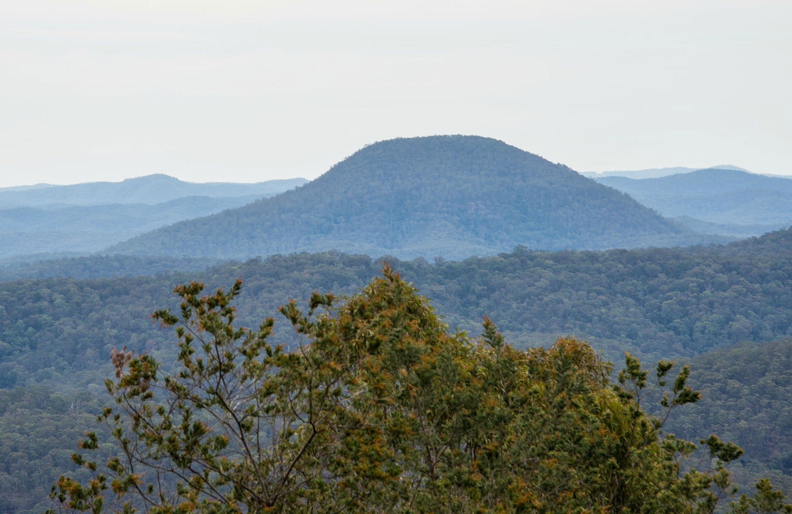 Paxton NSW Stayed