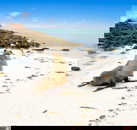 Abrolhos Islands - Stayed