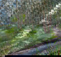 Anabranch Loop Track - Stayed