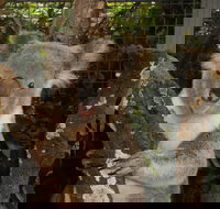 Birdland Animal Park - Stayed