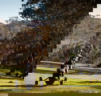 Blayney Golf Club - Stays Accommodation