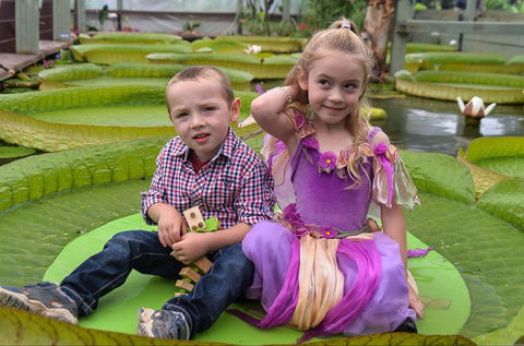 Blue Lotus Water Garden - Stayed 2
