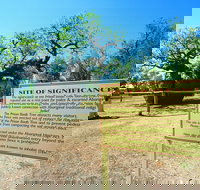 Boab Prison Tree - Stayed