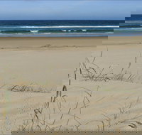 Bongil Beach - Stayed