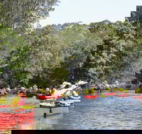 Bonville Creek - Stayed